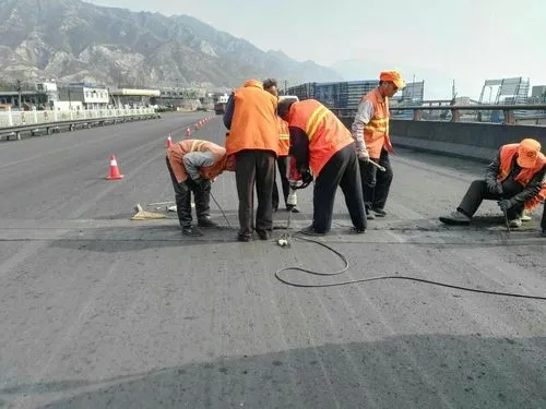 牧野道路桥梁病害治理